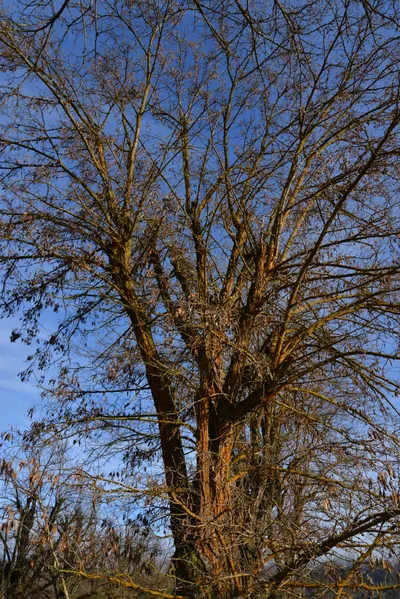 DSC_5836 (Large).JPG